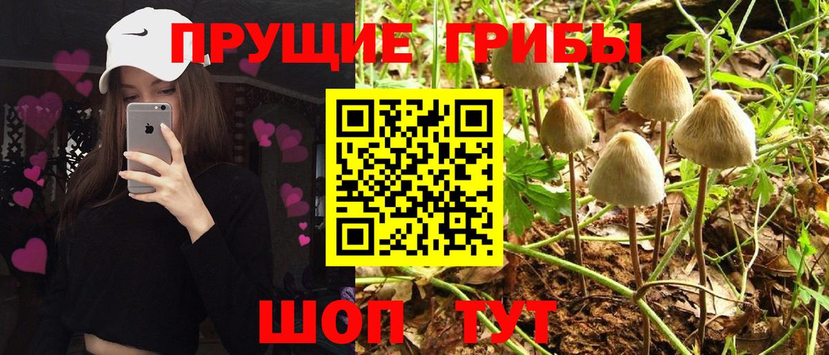 Югорск  Галлюциногенные грибы GOLDEN TEACHER  Вход с VPN 
